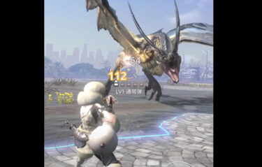 【モンハンNow】ライトボウガンの装備は装填速度と反動軽減、どっち優先？？？